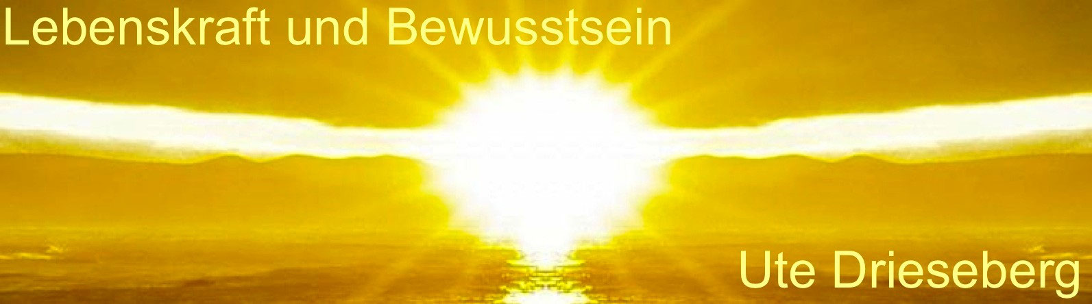 Lebenskraft und Bewusstsein – Ute Drieseberg, Licht über dem Meer